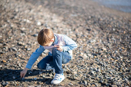 A boy collects seashells on the beach. A young child is crouching down looking for seashells to pick up. Summer vacation. Place for text. Cold summers.の写真素材