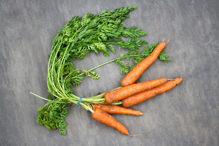 Organic carrots on slateの写真素材