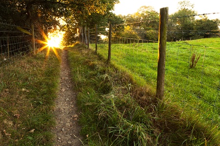 Sunrise on an autumn morning in a Surrey field.  A footpath leads towards the rising sun.