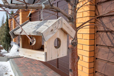 Bird feeder hangs on tree branchの写真素材