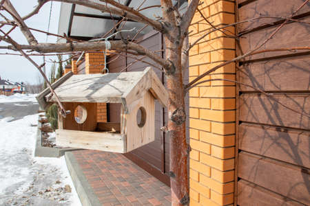Bird feeder hangs on tree branchの写真素材