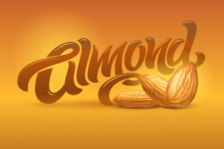 ALMOND lettering with realistic illustration of almonds on brown background. Vector illustration. Template for packaging design, print design, postcard, banner, label, poster, background.のイラスト素材