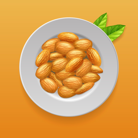Plate with almonds nuts and green leaves. Realistic vector 3d illustration. Top view. Vector template for packaging design, labels, printing.のイラスト素材