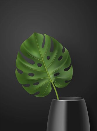 Vector realistic poster with 3D green tropical leaf in vase on darkのイラスト素材