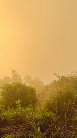 Tranquil Golden Sunrise Mist at Mount Batur, Baliの写真素材