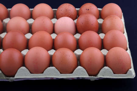 group of eggs ready to cook