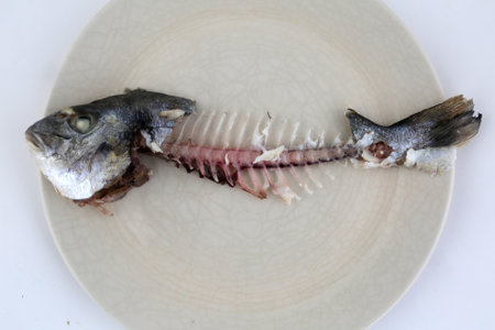 dorada fish with carrots and leeks as sea foodの写真素材