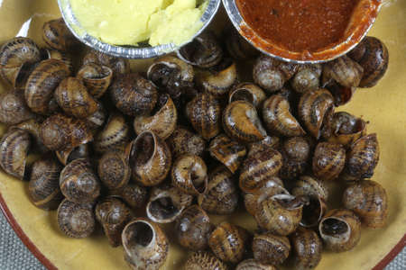 snails with sauce already cooked ready to eatの写真素材