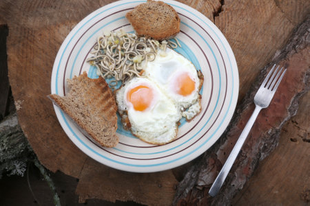 fried eggs dish with toast and elversの写真素材