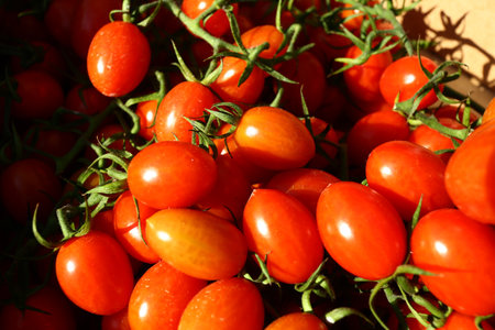 fresh rau kale cabbage green and blueの写真素材