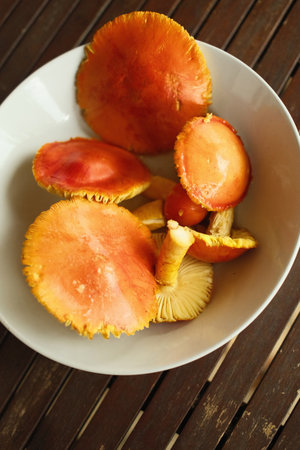 Mushroom chanterelle in white bowl on wooden tableの写真素材