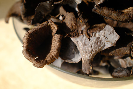 Dried mushrooms in a bowl, close-up, selective focusの写真素材