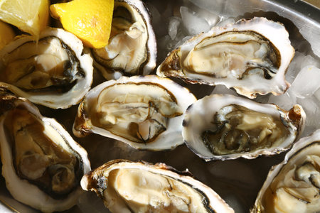 Fresh oysters with lemon and ice in a bowl close-upの写真素材