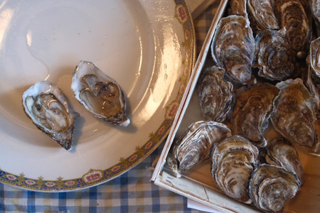 Fresh oysters in a plate on a table in a restaurant, close-upの写真素材