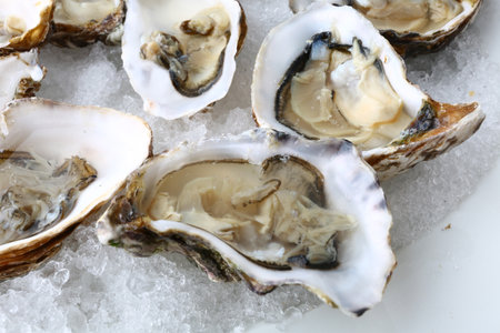 Fresh oysters on ice, close-up. Seafood backgroundの写真素材