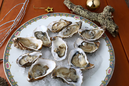 Oysters on ice with christmas decoration, close-up