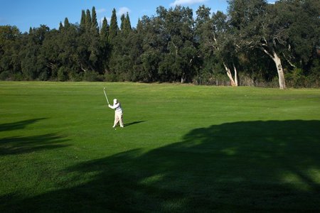 golf player in action on a green golf course during a sunny dayの写真素材