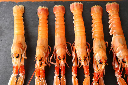 Raw tiger prawns on a black background. Top view.の写真素材