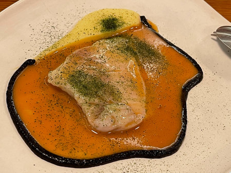 Fish fillet with sauce and garnish on a white plate