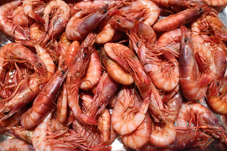 Fresh shrimps for sale at the market in Istanbul, Turkeyの写真素材