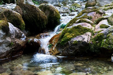 wild mountain river with small waterfalls running trough the forestの写真素材