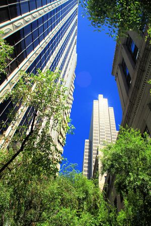 Cityscape from alley-way arbor: Complimentary natural and artificial beautyの写真素材