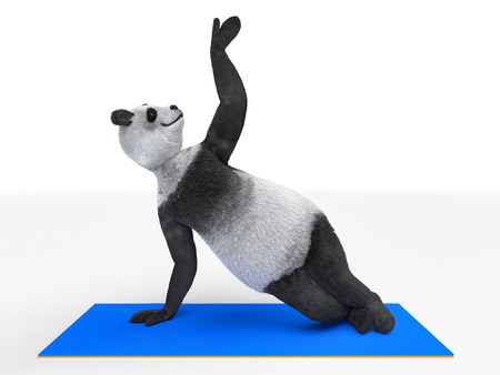 Panda doing asana yogaの写真素材