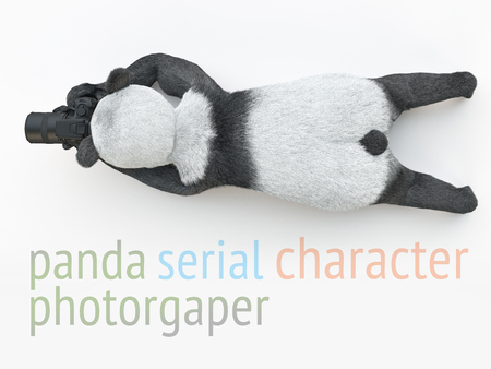 Panda photographer with camera lying on his stomach and taking picture. の写真素材