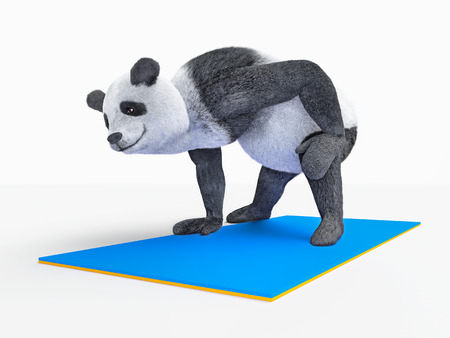 Panda practising yogaの写真素材