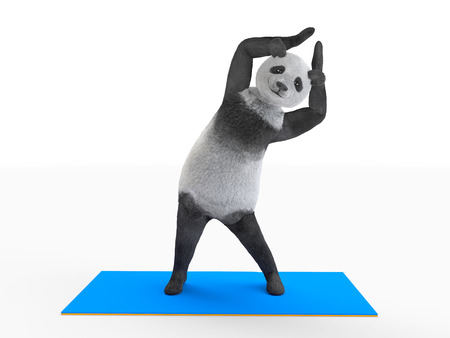 side bends with arms raised. Panda makes workout. Stretching oblique abdominal muscles.の写真素材