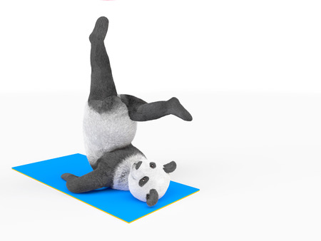 Stand on the shoulders. Cute panda doing yoga postures and asanas. render computer generated illustration about healthy lifestyle and sport development.の写真素材