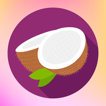 Coconut sign. Coco food Flat Icon. Cokernut fruit vector pictogram. Cocoanut exotic fruit sign. Sliced coconut flat icon for web and mobile devicesのイラスト素材
