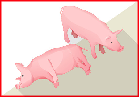 Pig isometric flat vector 3d illustration. Swine iconのイラスト素材