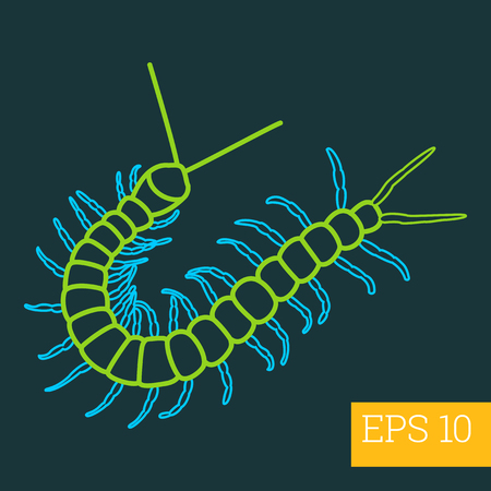 centipede linear vector illustration. insect outline icon.のイラスト素材