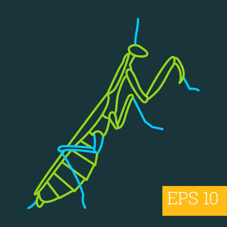 mantis linear vector illustration. insect outline icon.のイラスト素材