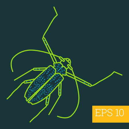 cerambycidae linear vector illustration. insect outline icon.のイラスト素材
