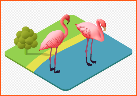 flamingo isometric isolated vector eps Illustration. waterfowl 3dのイラスト素材