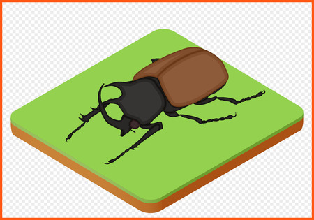 beetle isometric view. bug isolated. insect vector eps Illustration.のイラスト素材