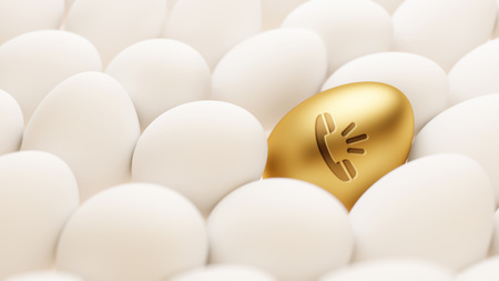 High Resolution Egg Home Iconの写真素材