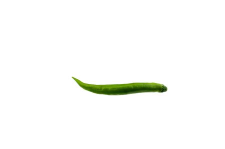 young chili isolated on white backgroundの写真素材