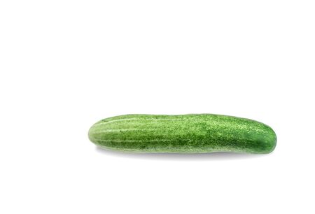 green cucumber in white backgroundの写真素材