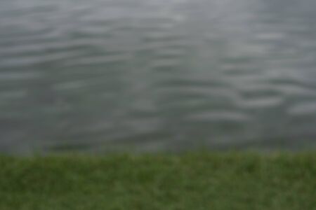 blur image of green grass on river bank close to a lakeの写真素材