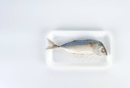 steamed mackerel in white foam packaging on white backgroundの写真素材