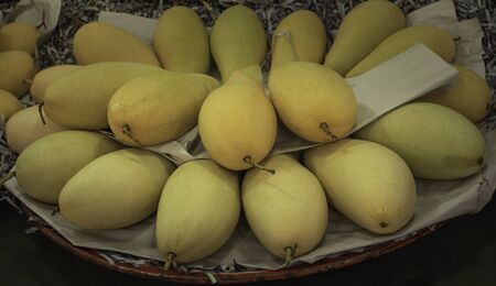ripe mangoes ready to eat or use to ingredient