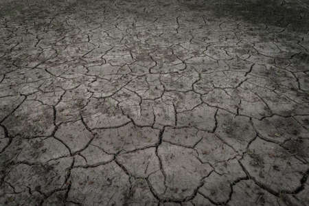 soil crack on a paddy farm which effect of climate changed. concept for arid area ,climate change,...