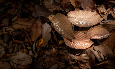 the three components  of sustainable development wrote on dried leaf in ground use for concept...