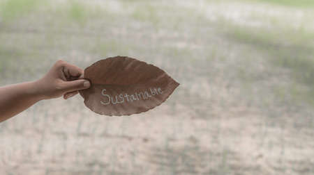 hand shows sustainable text that wrote down on a dried leaf with the paddy farm as background. concept for sustainability,organic agriculture.の写真素材