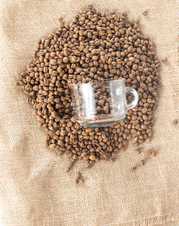 cup put on heap of coffee beans lay in a sackcloth from top view.の写真素材