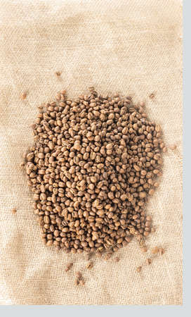 heap of coffee beans lay on a sackcloth from top view.の写真素材
