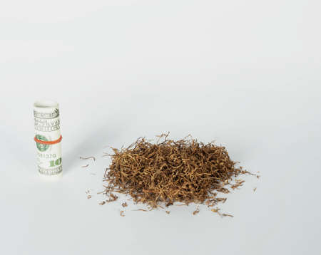 heap of tobacco with banknote lay on white background with copy space. concept for tobacco economy,...